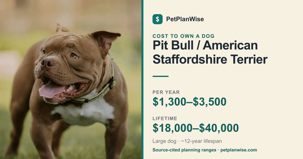 Pit Bull Cost & Price (2026) | PetPlanWise
