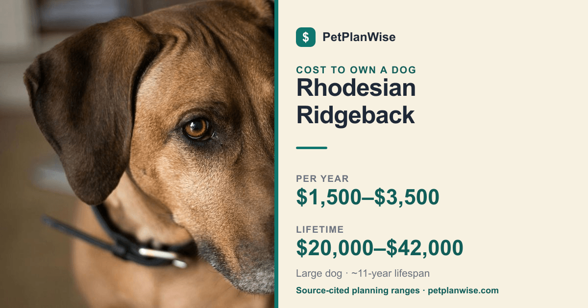 Rhodesian Ridgeback Cost & Price (2026) | PetPlanWise